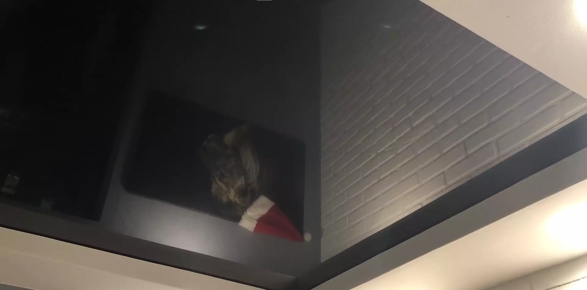 Прокопьевск, , фото 3